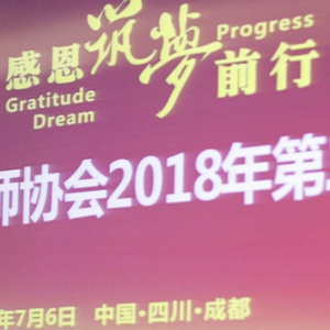 我会2018第二次理事会在成都召开