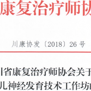 
关于举办“婴幼儿神经发育技术工作坊”的通知