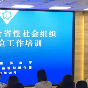 协会办公室主任陈政铭参加2019年度全省性社会组织年报年检工作培训