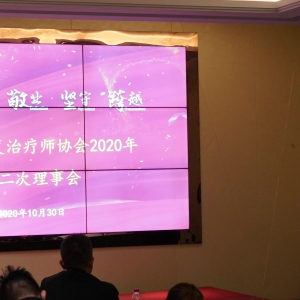 协会2020年第二次理事会在富顺成功召开