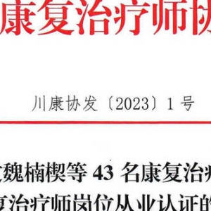 关于通过魏楠楔等43名康复治疗专业人员康复治疗师岗位从业认证的通知